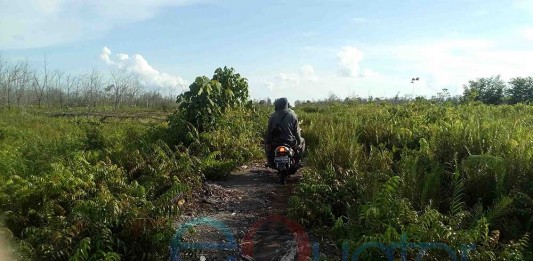 Kebakaran Teluk Empening Bikin Pening (Habis)