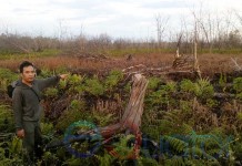 Kebakaran Teluk Empening Bikin Pening (Bagian 1)