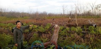 Kebakaran Teluk Empening Bikin Pening (Bagian 1)