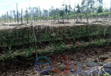 Kebakaran Teluk Empening Bikin Pening (Bagian 2)