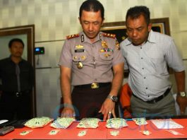 Pengedar Narkoba Dibekuk di Mega Mall