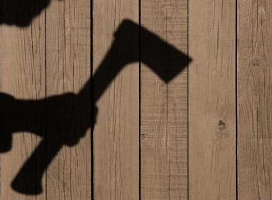 Usai Makan Siang, Kepala Ibu Kandung Dikampak