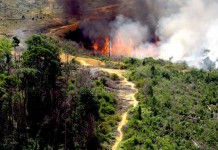 Utamakan Sosialiasi dalam Penegakan Hukum Pembakar Lahan