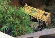 Diduga Remnya Blong, Truk Masuk Jurang