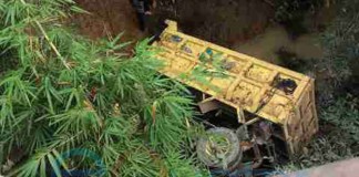 Diduga Remnya Blong, Truk Masuk Jurang