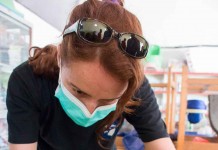 YIARI Kembali Tangani Bayi Orangutan, Sebutir Peluru di Pundak Kanan Didik