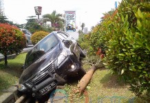 Mini Bus Nyungsep ke Parit