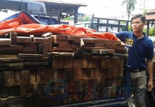 Lagi-lagi Kayu Ketapang Gagal Masuk Pontianak