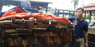 Lagi-lagi Kayu Ketapang Gagal Masuk Pontianak