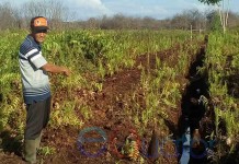 Kebakaran Teluk Empening Bikin Pening (Bagian 3)