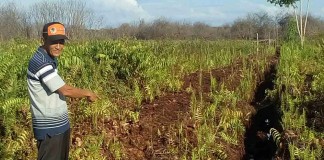 Kebakaran Teluk Empening Bikin Pening (Bagian 3)