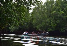 Jurnalis Trip Hutan Desa Batu Ampar (Bagian 1)