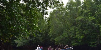 Jurnalis Trip Hutan Desa Batu Ampar (Bagian 1)