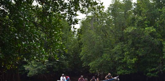 Jurnalis Trip Hutan Desa Batu Ampar (Bagian 1)