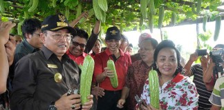 Panen Perdana Kebun Percontohan, Gubernur Cornelis Ajak Warga Manfaatkan Pekarangan Rumah