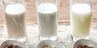 Susu Alternatif Terbaik