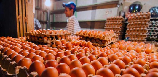 Stok Daging dan Telur Dipastikan Aman