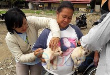 Anjing Gila Serang Jantung Bengkayang