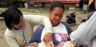 Anjing Gila Serang Jantung Bengkayang