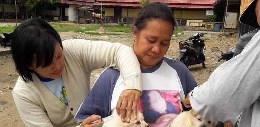 Anjing Gila Serang Jantung Bengkayang