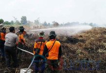 Lima Hektar Lahan Dibakar Dekat Supadio
