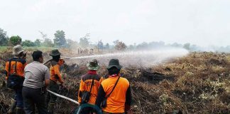 Lima Hektar Lahan Dibakar Dekat Supadio