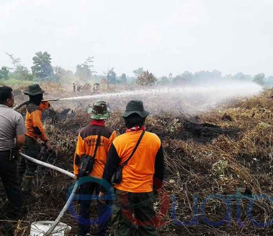 Lima Hektar Lahan Dibakar Dekat Supadio