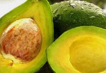 Jangan Takut Makan Alpukat