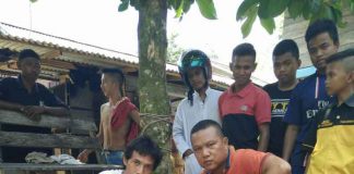 SPORC Gagalkan Penjualan Buaya