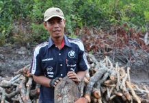 Mangrove Tanaman Bernilai Ekonomi Tinggi