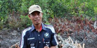 Mangrove Tanaman Bernilai Ekonomi Tinggi