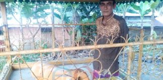 Meriam Tua, Saksi Sejarah yang Dipercaya Bertuah