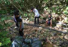 Miras dan Daging Malaysia Disita