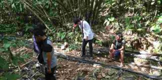 Miras dan Daging Malaysia Disita