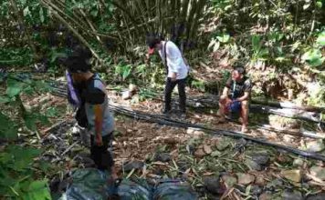 Miras dan Daging Malaysia Disita