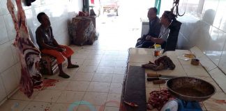 Ketapang Aman dari Sapi Gelonggongan