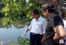 Tebang Pohon, Temukan Mayat Bayi