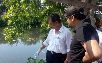 Tebang Pohon, Temukan Mayat Bayi