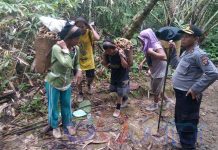 Jalan Kaki 16 Kilometer Demi Menukar Barang