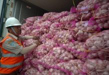 Negara Agraris yang Impor Sayur, 90 Persen Bawang Putih Diimpor dari China
