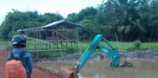 Buka Lahan Kebun Excavator Tenggelam