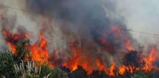 Polda Bantah SP3 Empat Kasus Korporasi Karhutla