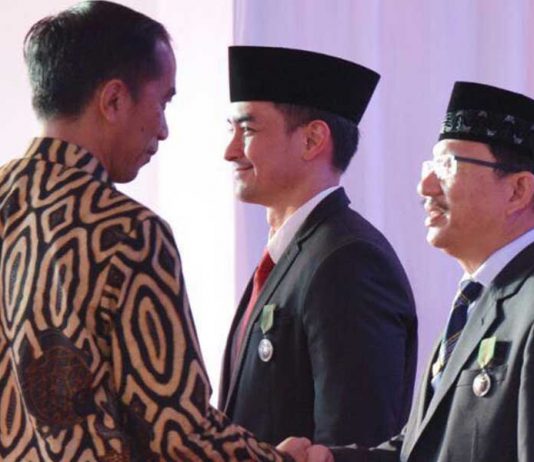 Wagub Terima Satya Lencana dari Presiden