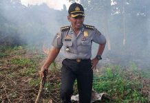 Lahan Bujang Ali Kembali Membara