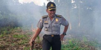 Lahan Bujang Ali Kembali Membara