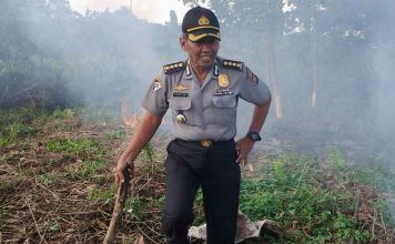 Lahan Bujang Ali Kembali Membara