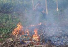 Gangguan Pola Cuaca di Utara, Kalbar Kekeringan