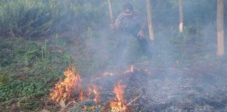 Polisi Panggil Pemilik Lahan, Karhutla di Kubu Raya Jadi Sorotan