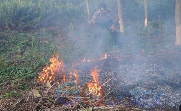 Polisi Panggil Pemilik Lahan, Karhutla di Kubu Raya Jadi Sorotan
