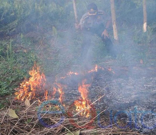 Kubu Raya Berstatus Siaga Karhutla